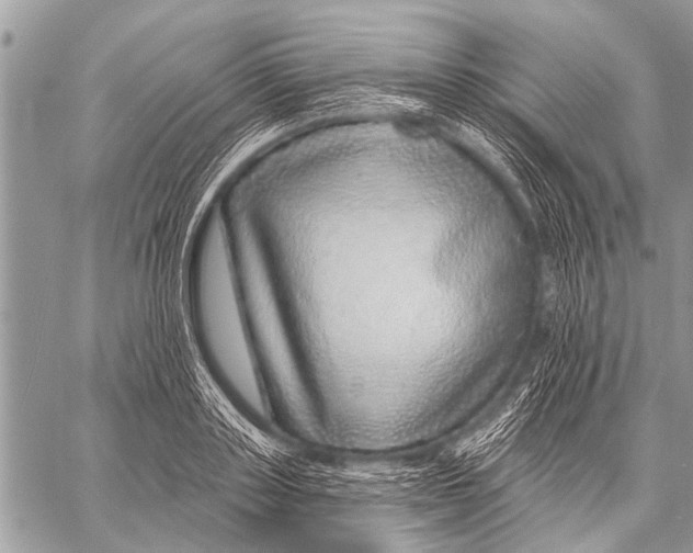 X0000057570843200510171640