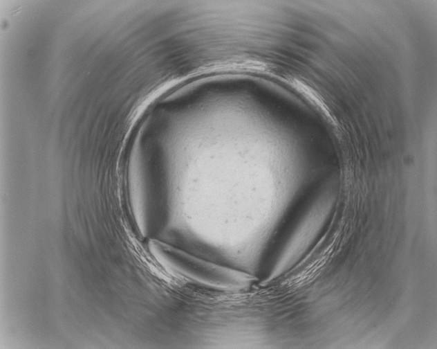 X0000057570854200510171641