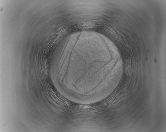 X0000057570866200510171640
