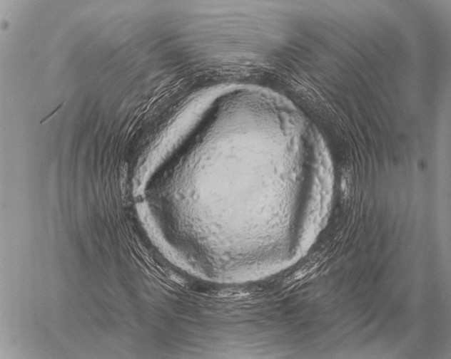 X0000057570867200510171640