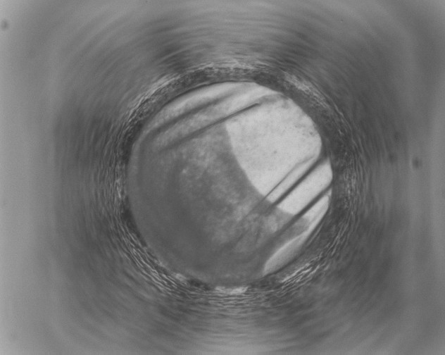 X0000057570870200510171640