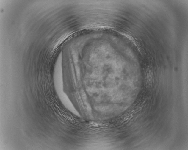X0000057570871200510171640