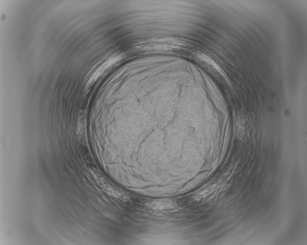 X0000057570874200510171640