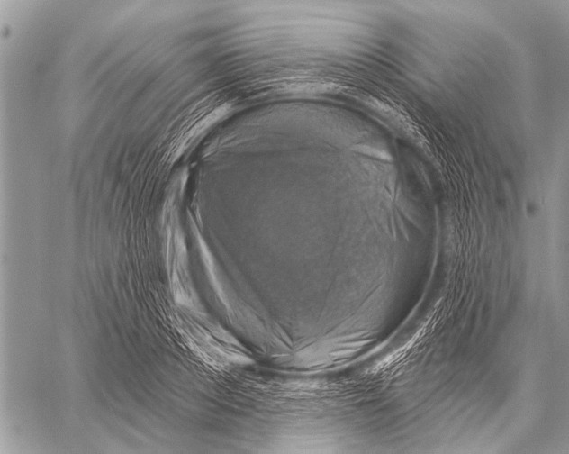 X0000057570889200510171640