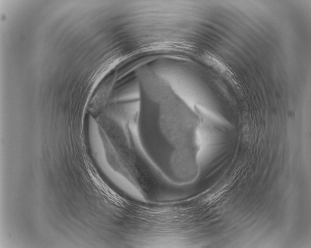 X0000057570892200510171640