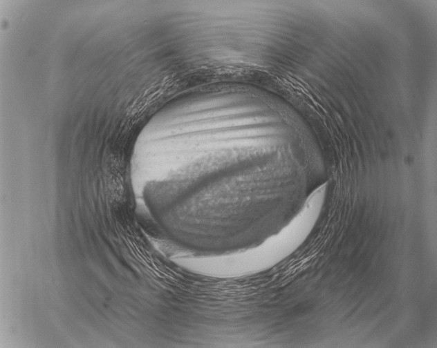 X0000057570916200510171639