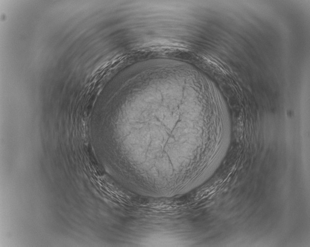 X0000057570917200510171639