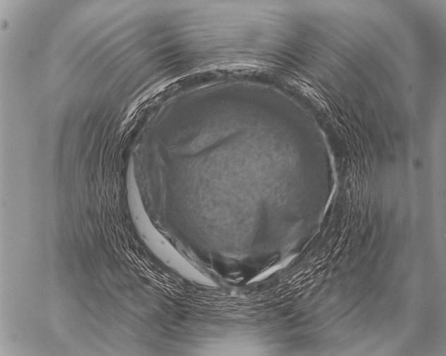 X0000057570920200510171639