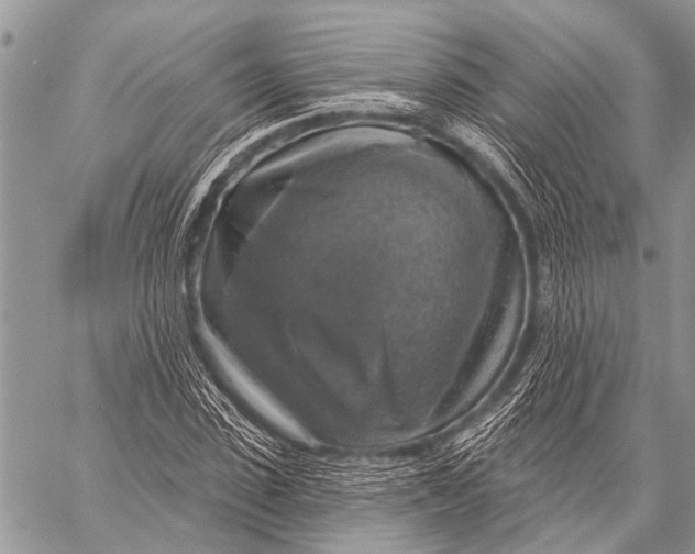X0000057570923200510171639