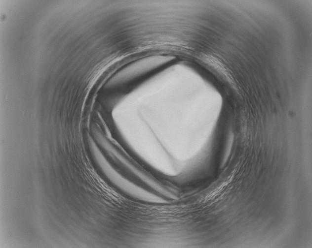 X0000057570924200510171639