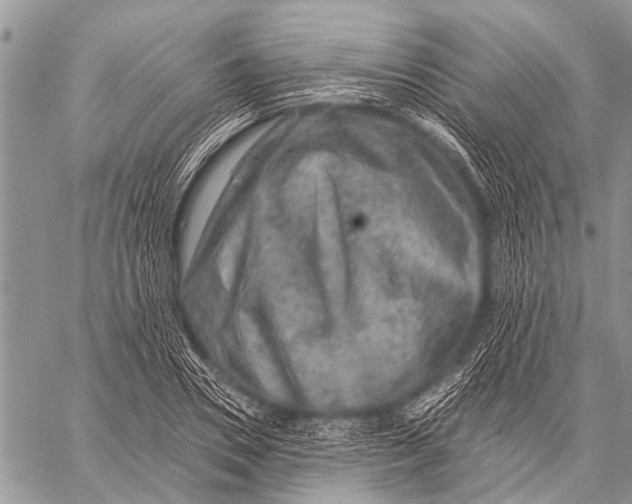X0000057570930200510171639
