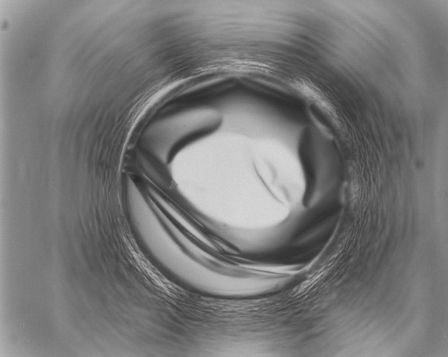 X0000057570940200510171639