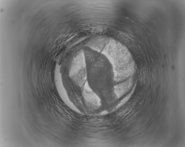 X0000057570962200510171638