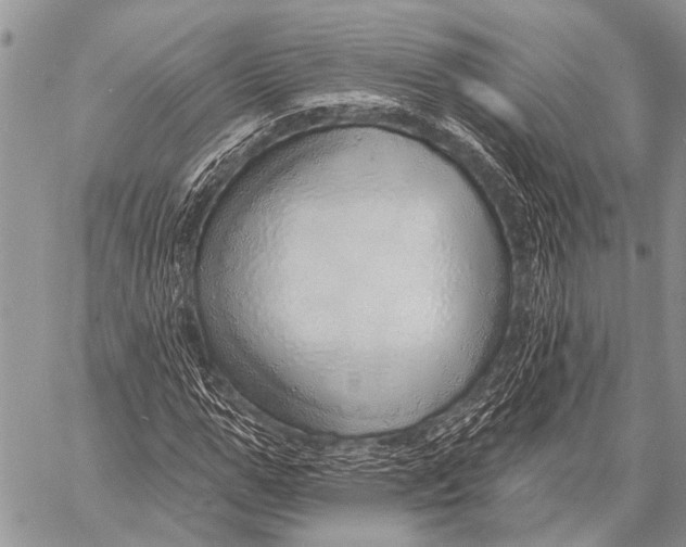 X0000057570967200510171638