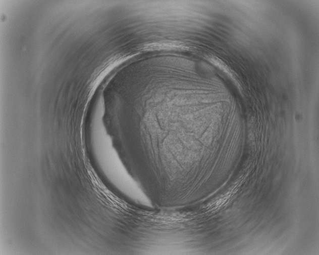 X0000057570983200510171638