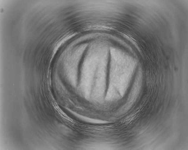 X0000057570987200510171638
