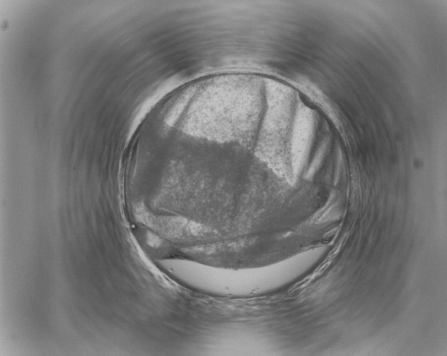 X0000057571006200510171638