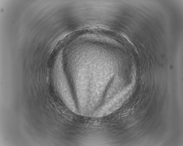 X0000057571016200510171637