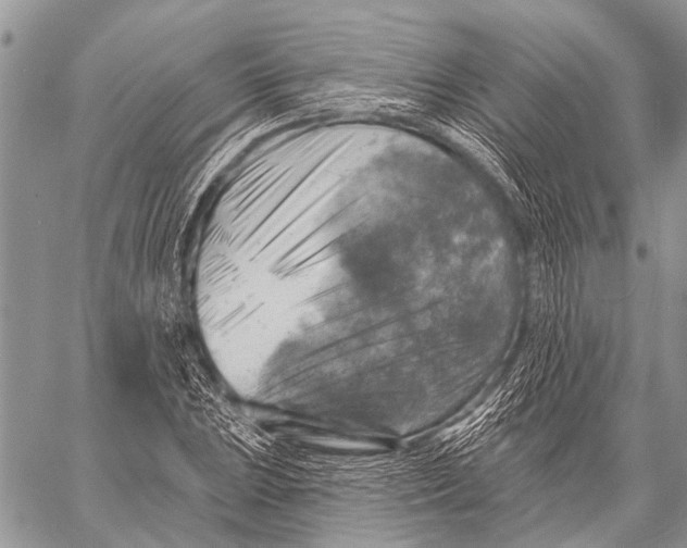 X0000057571023200510171637