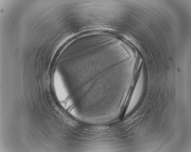 X0000057571024200510171637