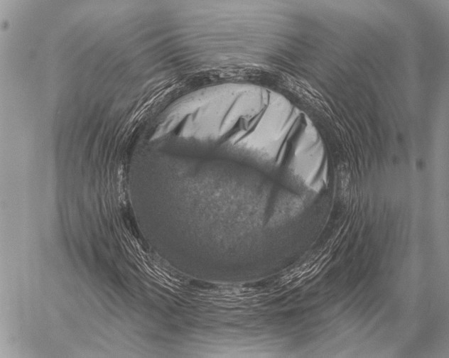 X0000057571060200510171637