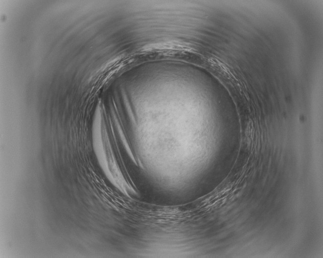 X0000057571062200510171637