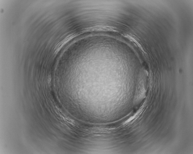 X0000057571065200510171637