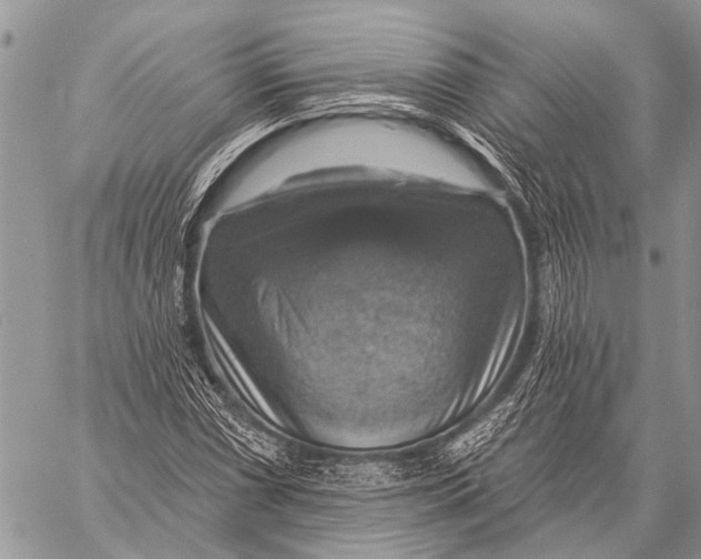X0000057571066200510171637