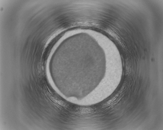 X0000057571070200510171637