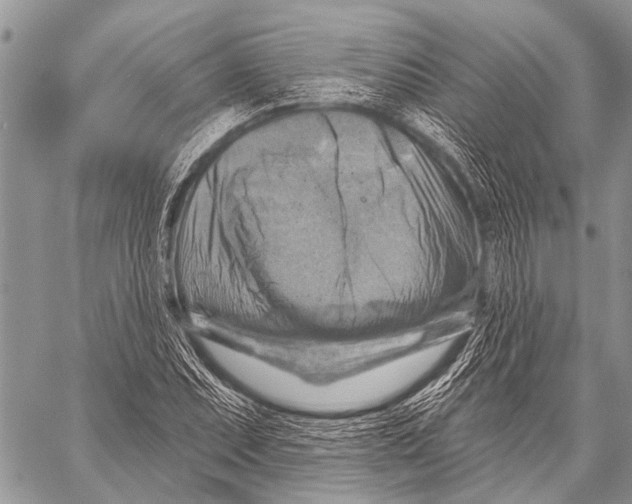 X0000057571071200510171637