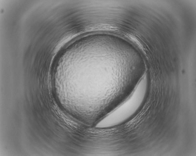 X0000057571072200510171637