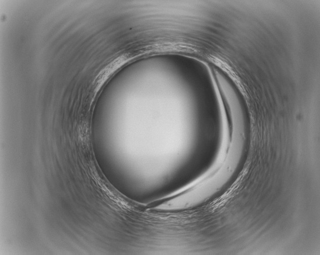 X0000057571089200510171636