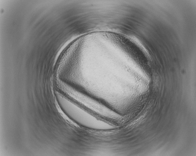 X0000057571100200510171636