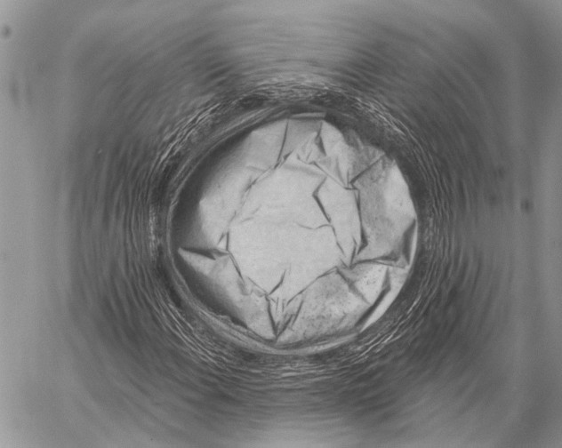 X0000057571108200510171635