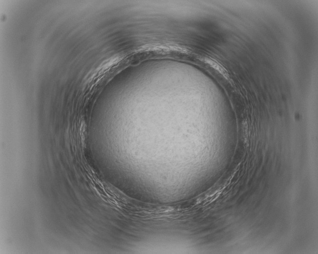 X0000057571111200510171635