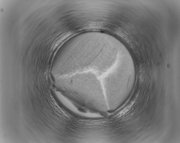 X0000057571121200510171636