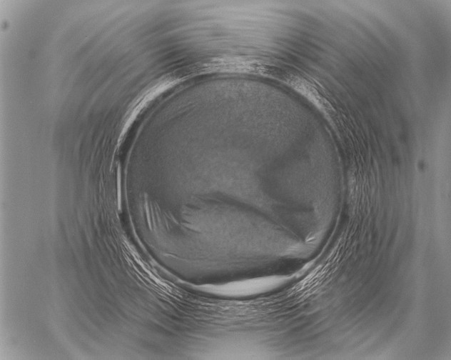 X0000057571123200510171636