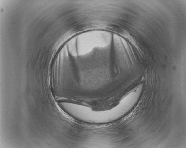 X0000057571143200510171636