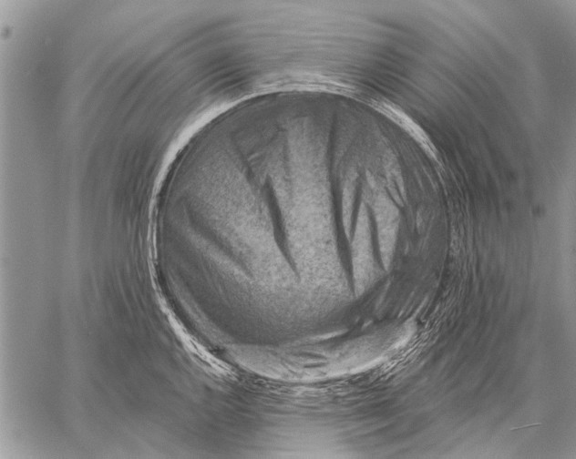 X0000057571144200510171636