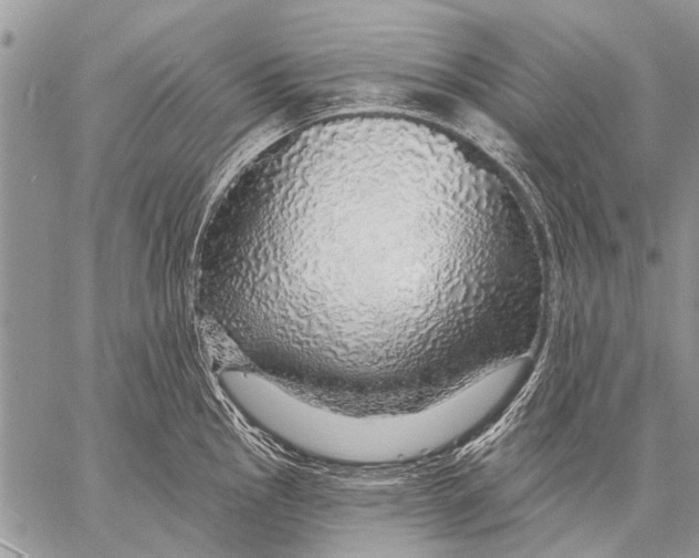 X0000057571145200510171636