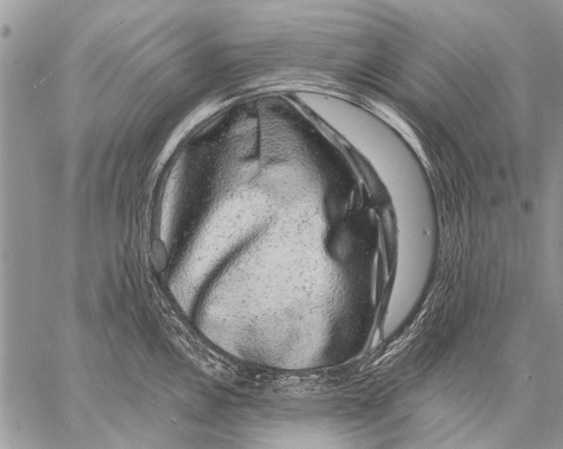 X0000057571146200510171636
