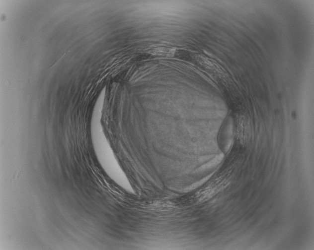 X0000057571154200510171635