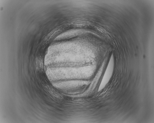 X0000057571155200510171635