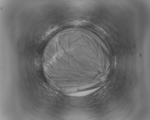 X0000057571158200510171635