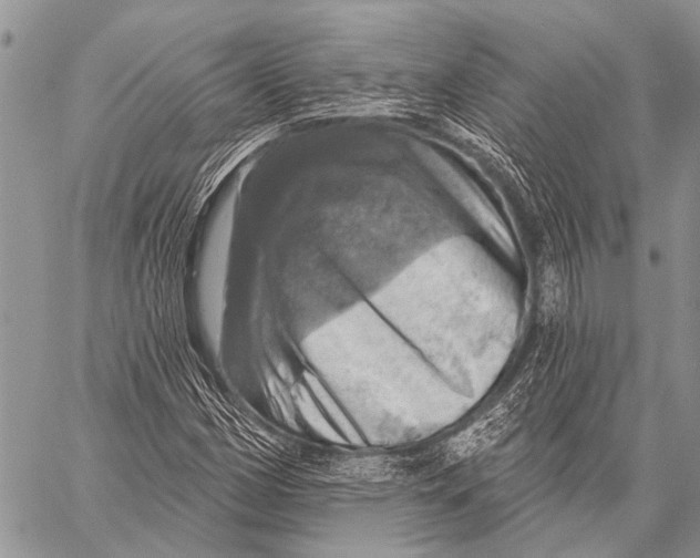 X0000057571162200510171635