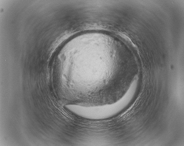 X0000057571167200510171635