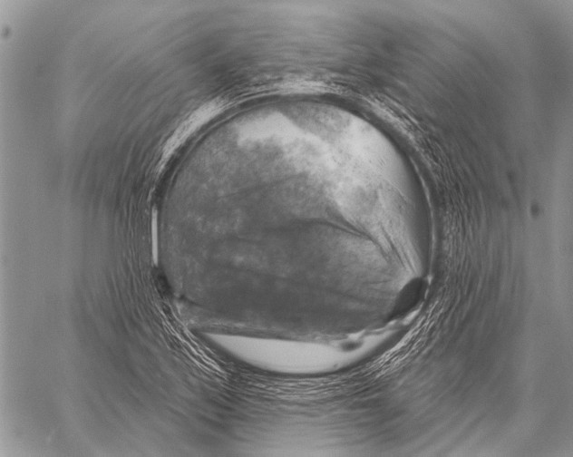 X0000057571171200510171635