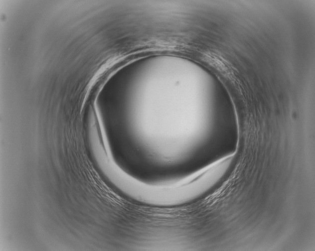 X0000057571172200510171635