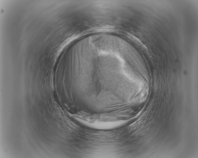 X0000057571174200510171635