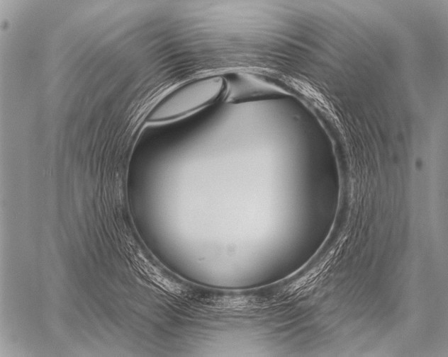 X0000057571177200510171635
